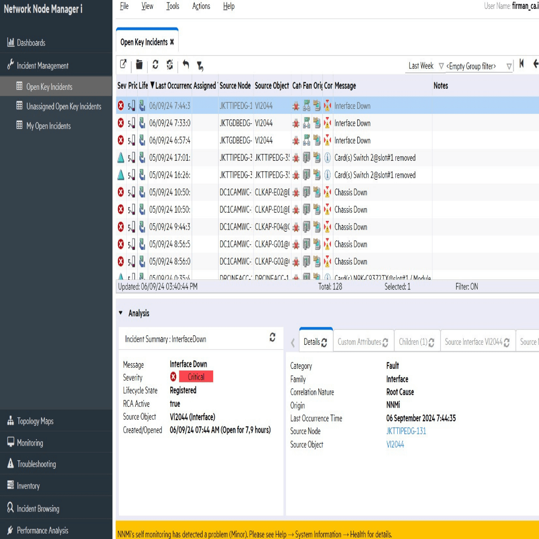 Network Node Manager Interface
